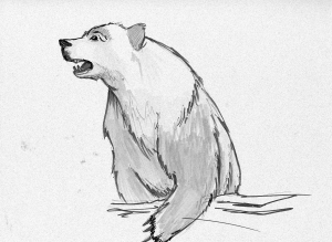 bear_sketch